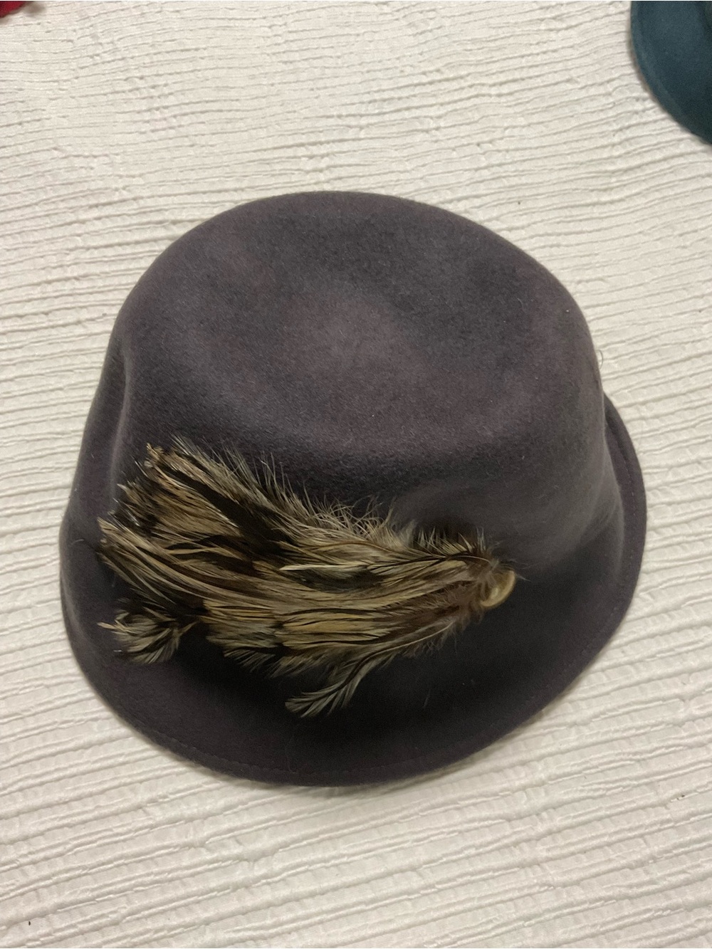 Jessica Simpson Men's Dark Brown Felt Fedora with Feather Trim